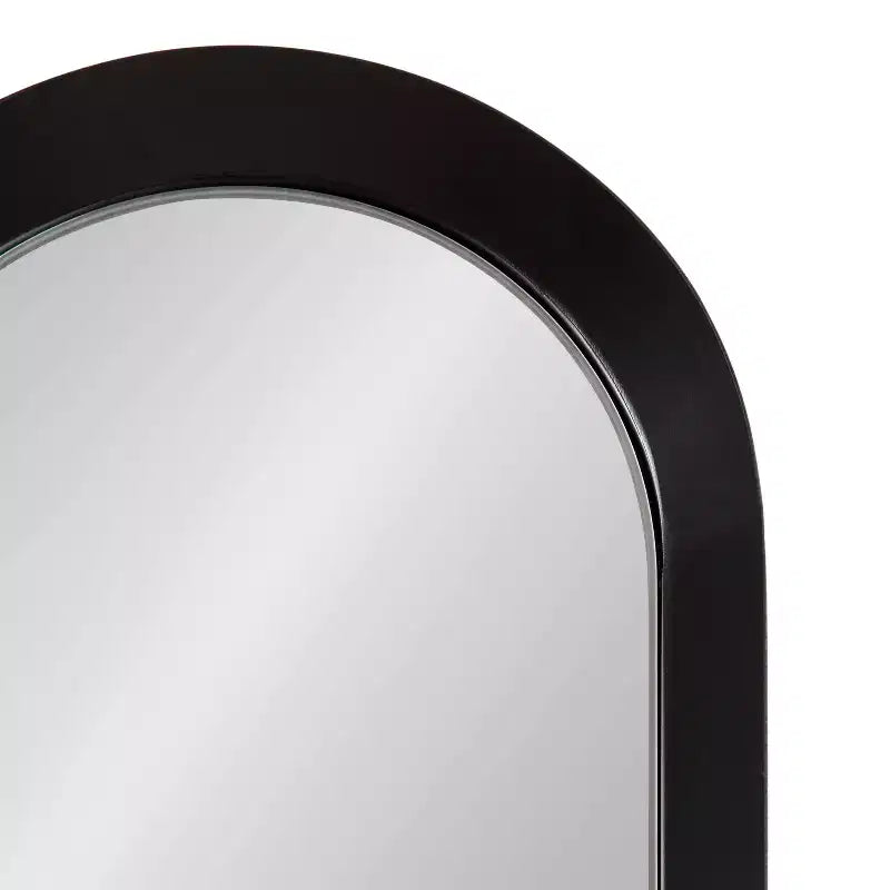Miroir mural capsule à cadre métallique, 23,5 cm L x 99,7 cm H